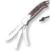 Classic Folding Knives * | Joker Canguro Iv, Stag Horn Joker Spain New Arrivals